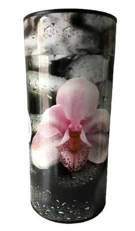 Eau dans caveau opération de pompage