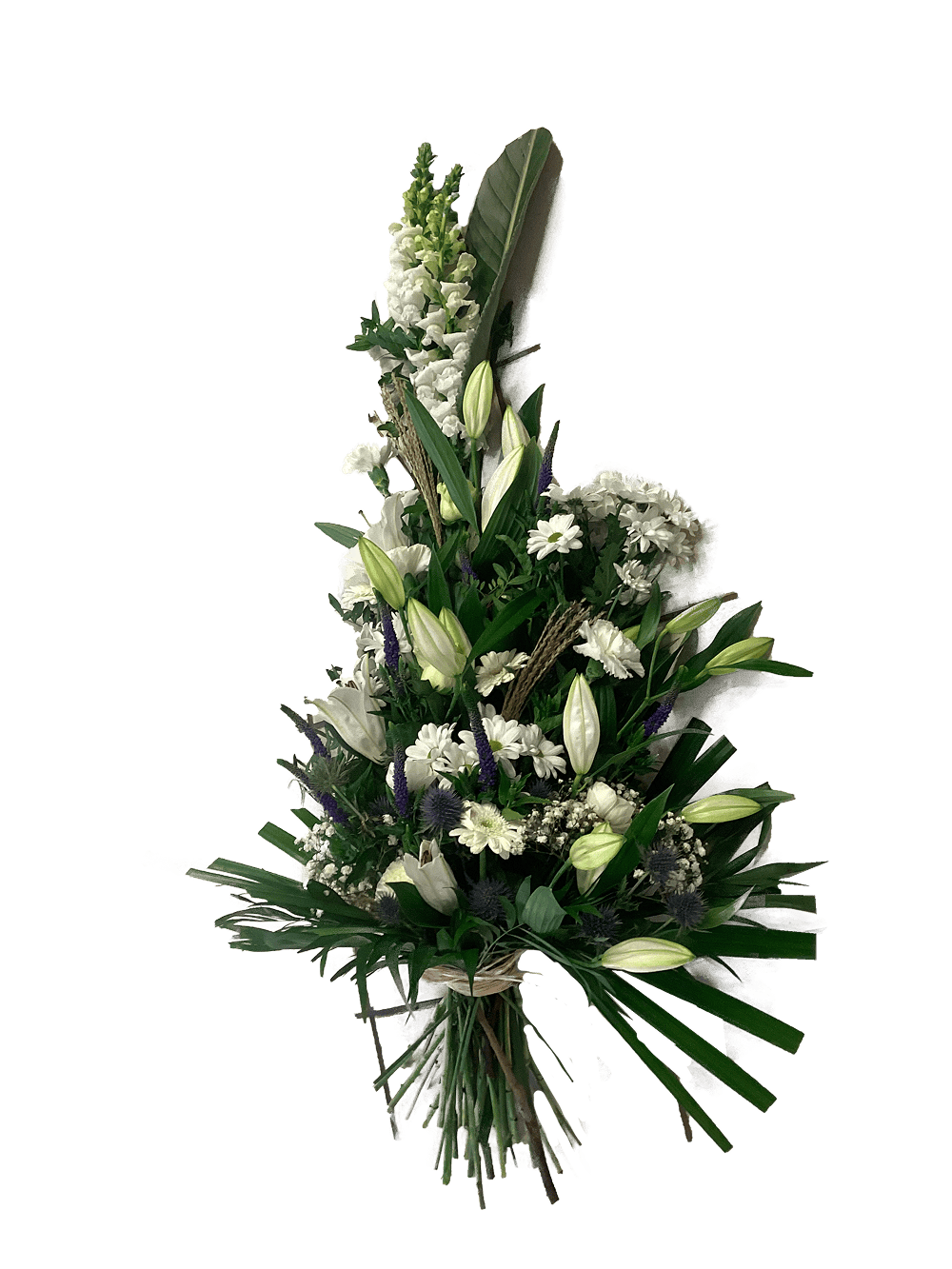 Eau dans caveau opération de pompage