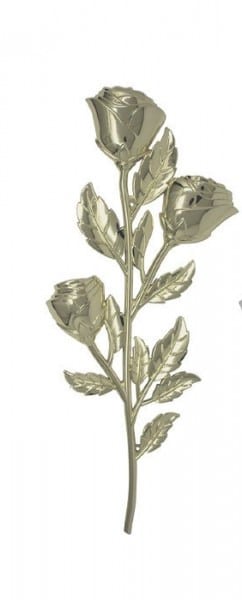 Eau dans caveau opération de pompage