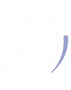 Icono Chrysalis funéraires