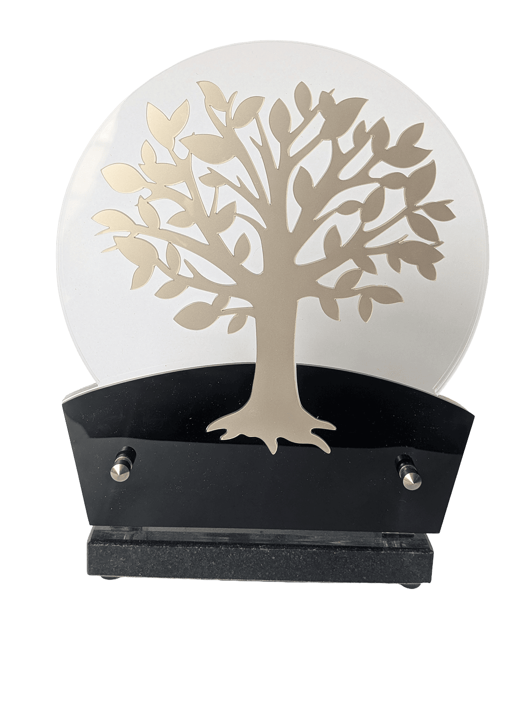 Eau dans caveau opération de pompage